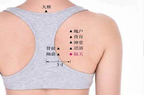 膈关的准确位置图(膈关的准确位置图和主治作用)