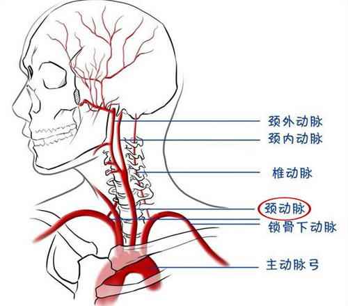 割喉能救活吗(割喉还有办法救回来