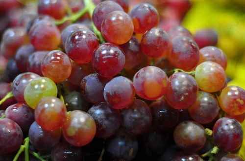 葡萄的功效与作用及食用方法(葡萄