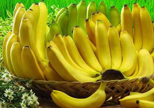 香蕉和芭蕉的区别在哪(香蕉和芭蕉的区别功效作用)