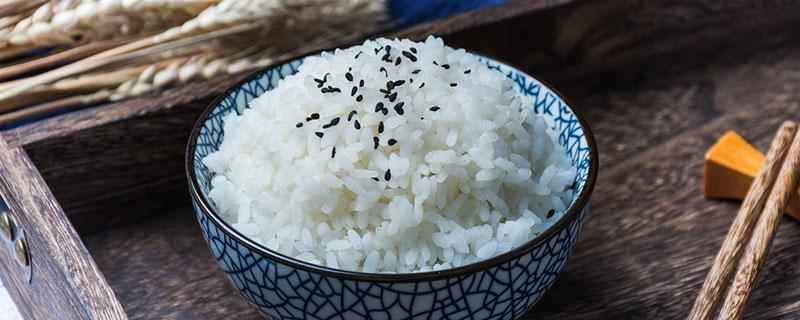 米饭真的会导致发胖吗(米饭真的不