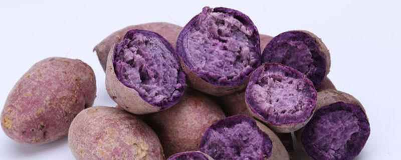 紫薯和土豆能一起吃吗(紫薯和土豆