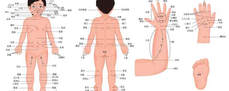 下脘准确位置及功效(下脘的准确位置和功效)