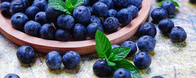减肥期间可以吃蓝莓吗(减肥期间可
