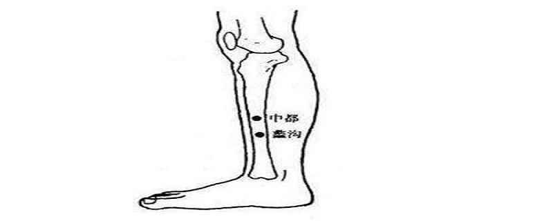 蠡沟的准确位置和作用(蠡沟穴的准确位置)