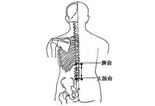 人体穴位分布图及作用(人体穴位分布图及作用与养生)