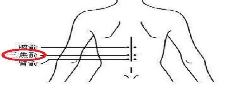 三焦俞的准确位置图(三焦俞主治疾病及通利三焦的预防保健要穴)