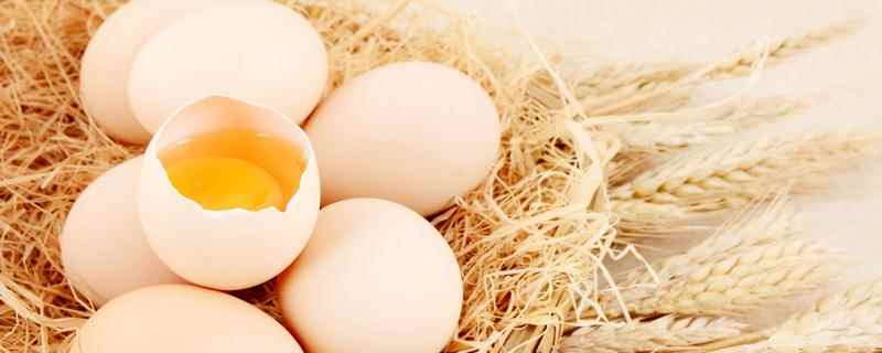 鸡蛋常温下能保存多久(鸡蛋常温下