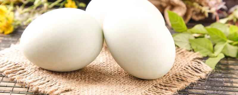 鹅蛋是热性还是凉性(鸡蛋清和鹅蛋