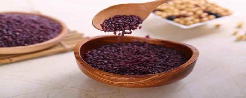 紫米和什么煮粥最营养(紫米和什么