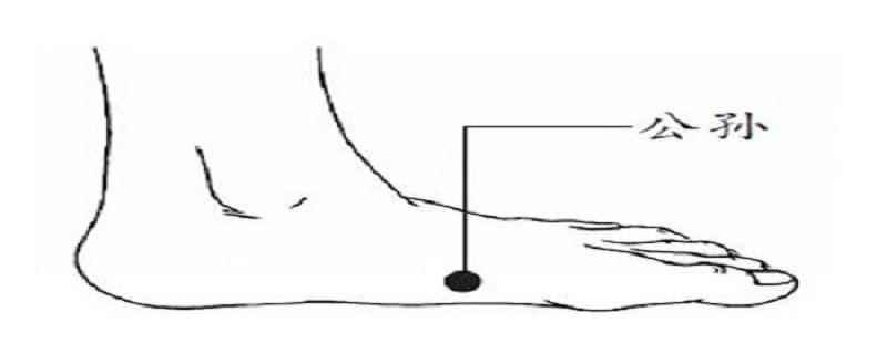 公孙穴针刺多深(公孙穴针刺注意事项)