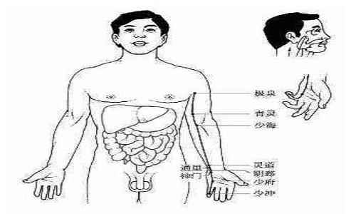 手少阴心经经络图(手少阴心经经络图走向)