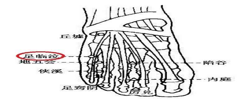 足临泣的具体位置(足临泣的具体位置图片)