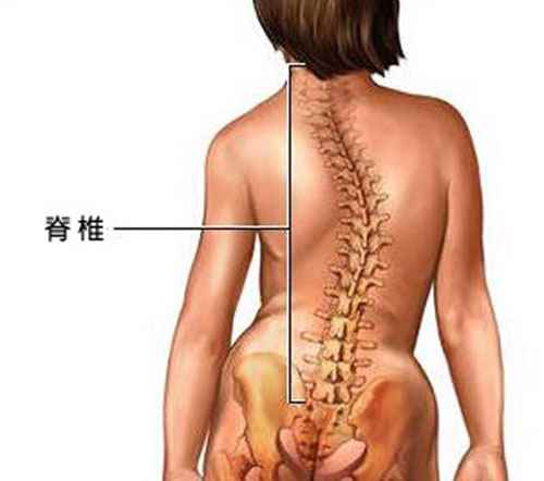 肩膀高低不对称怎么办(排除身体其他方面疾病外在直接表现其实就是很多人认为的高低肩)