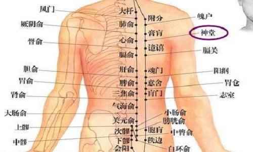 神堂的准确位置图(神堂穴养生按摩方法用两手手指腹轻柔按揉)