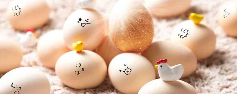 鹅蛋跟鸡蛋的营养有什么区别(鹅蛋与鸡蛋营养区别)