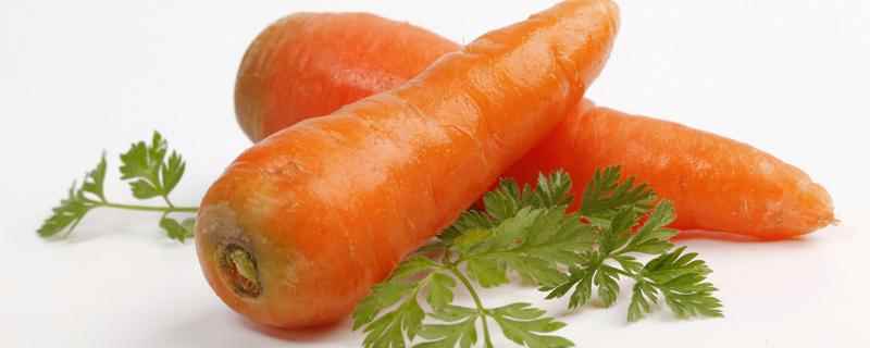 每天吃胡萝卜真的可以减肥吗(每晚