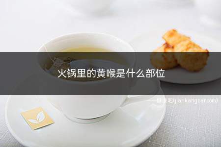 火锅里的黄喉是什么部位(牛黄喉和猪黄喉有什么区别)