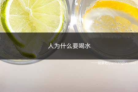 人为什么要喝水(人为什么要喝水科普)