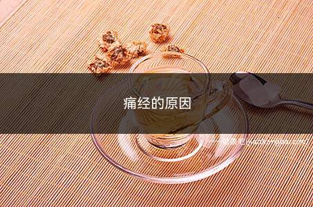 痛经的原因(痛经的原因有哪些)