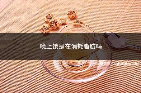 晚上饿是在消耗脂肪吗(晚上饿是在消耗脂肪吗知乎)