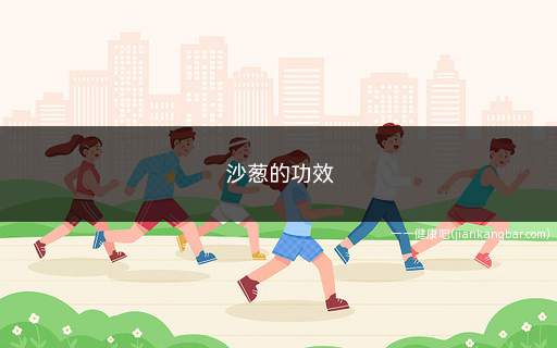 沙葱的功效与作用(沙葱的功效)