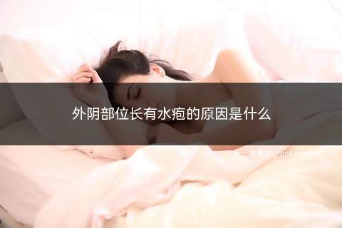 外阴部位长有水疱的原因是什么(阴道外面有多起疱用什么药物治疗)