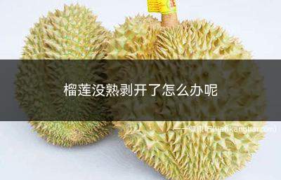 榴莲没熟剥开了怎么办呢(剥开的榴莲没熟怎么催熟)