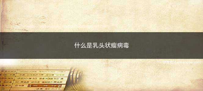 什么是乳头状瘤病毒(人乳头瘤病毒有100多种分型)