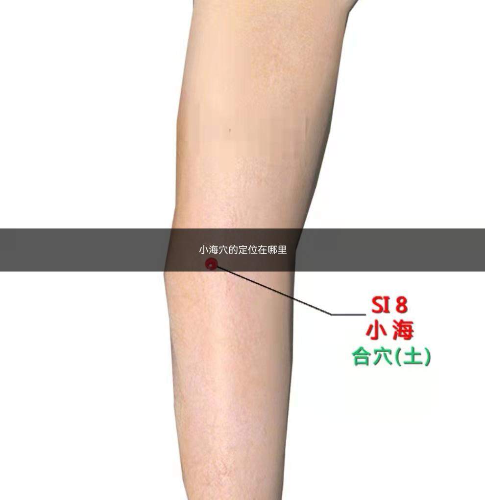 小海穴的定位在哪里(小海对症按摩手法)