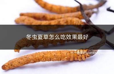 冬虫夏草怎么吃效果最好(冬虫夏草的食用方法很多)