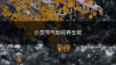 小雪节气如何养生呢(小雪节气养生知识)