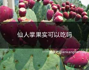 仙人掌果实可以吃吗(仙人掌是常见的一种植物)