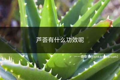 芦荟有什么功效呢(芦荟煎水喝的功效)