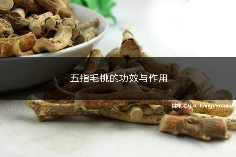 五指毛桃的功效与作用(五指毛桃的功效与作用禁忌人群)