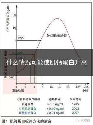 肌钙蛋白i升高的原因有哪些(肌钙蛋白升高后下降说明什么)