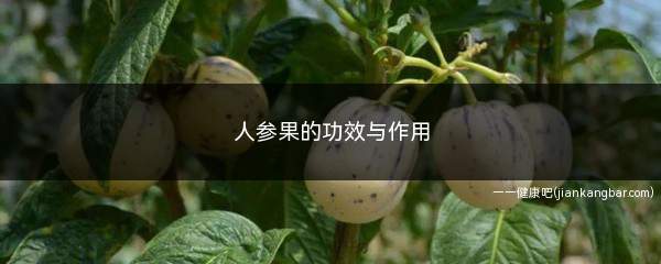 人参果的功效与作用(吃人参果有养颜护肤的功效)