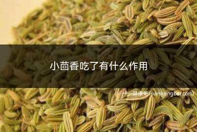 小茴香吃了有什么作用(小茴香泡茶功效与作用)