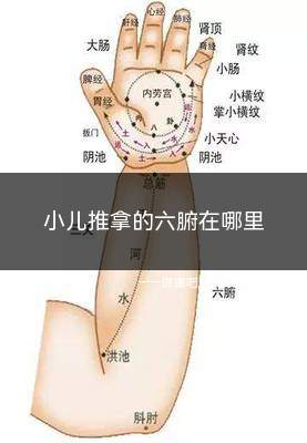 小儿推拿的六腑在哪里(小儿推拿的六腑在哪个部位)