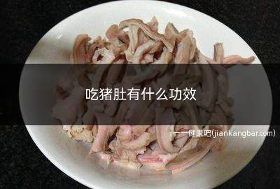 吃猪肚有什么功效(吃猪肚有什么功效和作用)