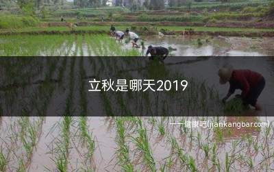 立秋是哪天2019几点立秋(2019立秋时间几点)