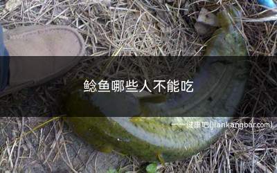 鲶鱼哪些人不能吃(吃鲶鱼对人身体有什么害处)