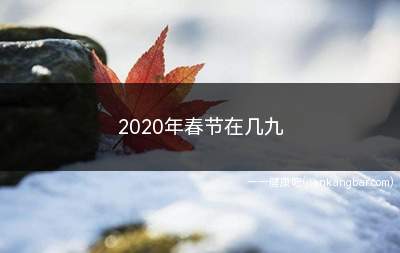 2020年春节在几九(2020年春节是四九。)