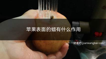 苹果表面的蜡有什么作用(苹果表层蜡是什么东西有什么作用)