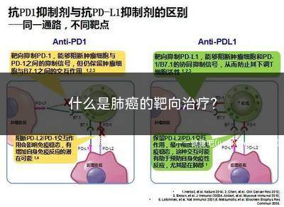 什么是肺癌的靶向治疗(肺癌是一个由多个基因异常引起的疾病)