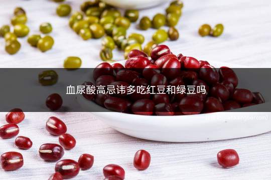 血尿酸偏高可以吃红枣吗(血尿酸高的人能吃黑豆黄豆红豆吗)