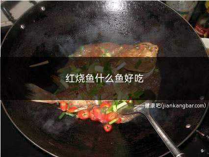 红烧鱼什么鱼好吃(红烧鱼是属于一种比较常见的家常菜)