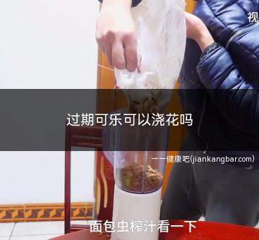 过期可乐可以浇花吗(不可以直接用于浇花吗)