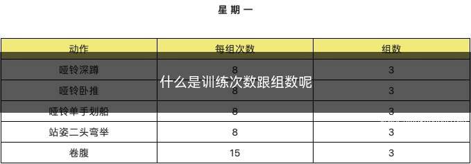 什么是训练次数跟组数呢(训练次数和组数怎么安排)