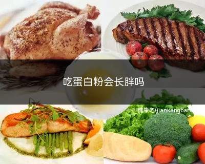 吃蛋白粉会长胖吗(适量食用一般不会长胖)